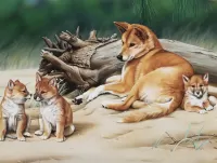 Puzzle Dingo with puppies