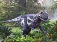 Zagadka Dinosaur