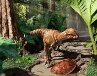 Rätsel Dinozavr i cherepaha