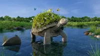Пазл Добрая черепаха