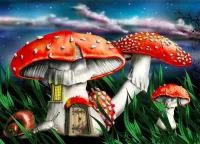 Puzzle fly agaric house