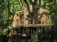 Slagalica Tree house