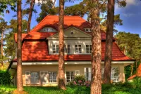 Jigsaw Puzzle House among the pines
