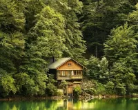 Jigsaw Puzzle The lake house
