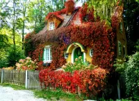 Puzzle House in the vines