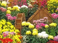 Puzzle House among flowers
