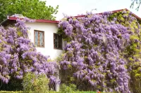 Slagalica house in flowers