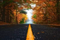 Jigsaw Puzzle Road through the autumn forest