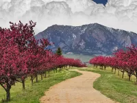 Jigsaw Puzzle Road mountain clouds
