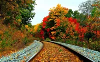 Jigsaw Puzzle Road of autumn