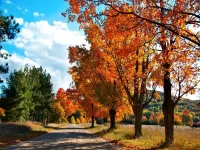 Jigsaw Puzzle Road in autumn