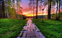 Jigsaw Puzzle The road into the sunset