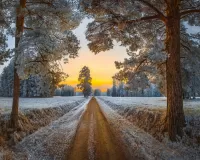 Rätsel Road in winter