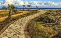 Puzzle Path to the sea