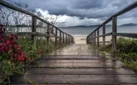 Jigsaw Puzzle path to the beach