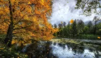 Zagadka Rainy autumn