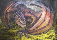 Rätsel Dragon