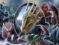 Rompecabezas Dragons