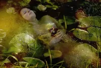 Jigsaw Puzzle Dreams of Ophelia 2