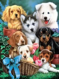 Jigsaw Puzzle United puppies
