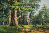 Rätsel Oak grove