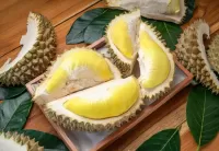 Jigsaw Puzzle Durian