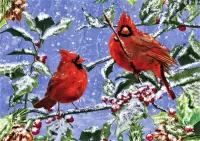 Puzzle Cardinal birds