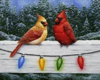 Jigsaw Puzzle Two cardinals