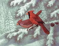Jigsaw Puzzle Two of the cardinal