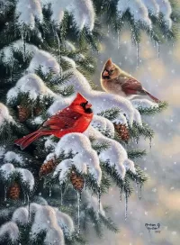 Jigsaw Puzzle Two cardinals