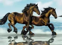 Rätsel Two horses