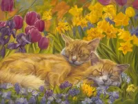 Jigsaw Puzzle Two cats