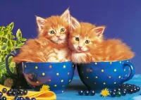 Quebra-cabeça Two kittens
