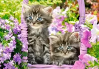 パズル Two kittens