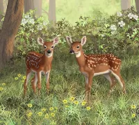 Jigsaw Puzzle Two deer