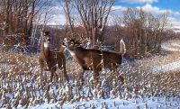 Jigsaw Puzzle two deer