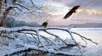 Jigsaw Puzzle two eagles