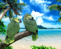 Rompecabezas Two parrots