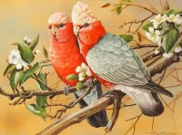 Quebra-cabeça Two parrots