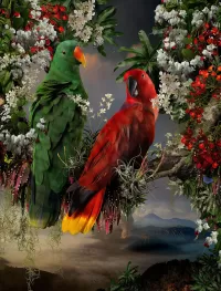 パズル Two parrots