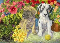 Puzzle two puppies