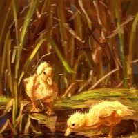 Jigsaw Puzzle Two duckling
