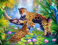パズル Two jaguars