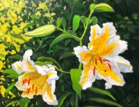 Jigsaw Puzzle Two lilies