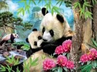 Puzzle two pandas