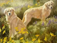 Jigsaw Puzzle Two dogs