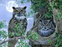 Jigsaw Puzzle Two owls