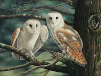 Jigsaw Puzzle two owls