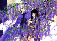 Jigsaw Puzzle Two and Wisteria