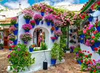 Quebra-cabeça Courtyard in flowers